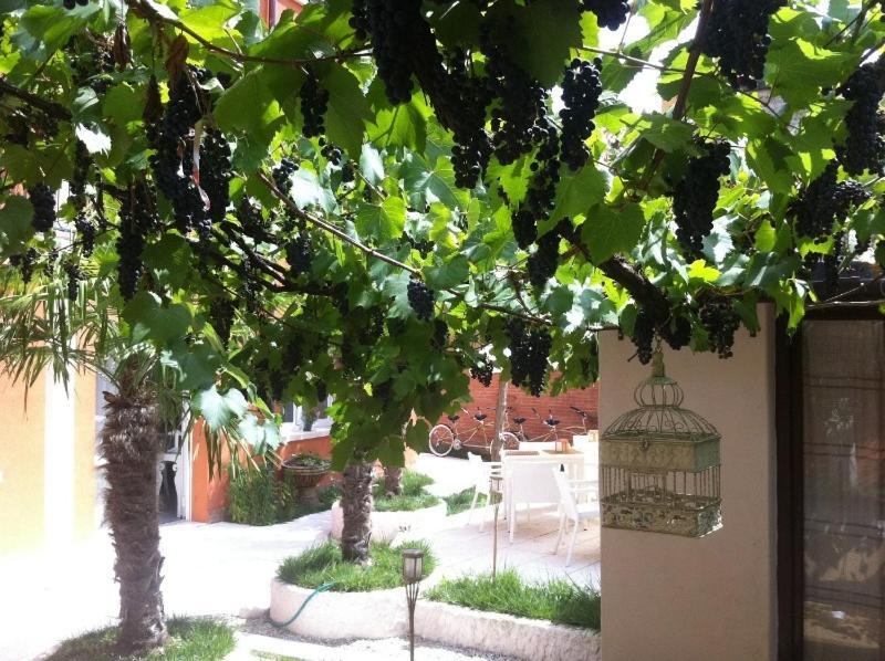 La Pergola Di Venezia
